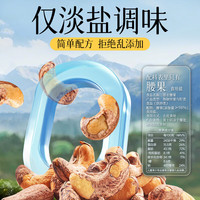 华味亨 带衣腰果250g/袋 A180大颗粒1斤休闲零食紫衣腰果儿童坚果 505g*1袋（全）