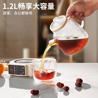  Peskoe/半球 全玻璃恒温 养生壶