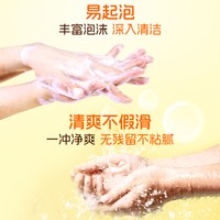 狮王 趣净洗手液活力柠檬香500ml*3瓶 99.9%抑菌保湿
