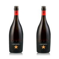 艾帝达姆 大星 精酿啤酒 750ml 2瓶装