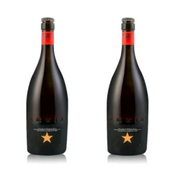 艾帝达姆 大星 精酿啤酒 750ml 2瓶装