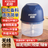 彩阳 电动充电料理机250ML搅蒜绞蒜多功能神器无线家用户外