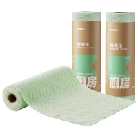 LYNN 厨房周抛懒人抹布干湿两用洗碗巾撕撕乐25*25cm20张重油污清洁 【去油免洗】厨房清洁毛巾