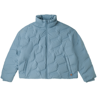 dickies羽绒服 全身压印印花羽绒服 保暖外套上衣DK010807 浅灰蓝 XL 充绒量:180g