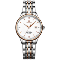 天王 昆仑系列 32毫米自动上链腕表 LS5876TP.D.TP.W