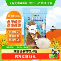 荆楚大地 猫牙米大米5kg南方丝苗米