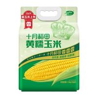 【2024新玉米】十月稻田黄糯玉米白糯大棒东北苞米220gx8粘糯新鲜