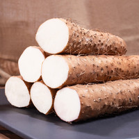 亨泰丰源 铁棍山药 20-30cm 1.5kg