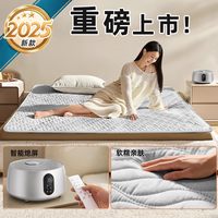 Huadn【李佳琦年货全品类】环鼎小温泉水暖电热毯水暖毯2025 【25年小温泉】智能触屏款梦灰色