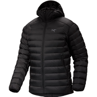 ARC'TERYX 始祖鸟 CERIUM HOODY 男子户外羽绒服 29675 黑色 L