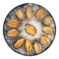 江船长 冷冻无壳鲍鱼肉 100g(12粒) 活鲍加工 火锅烧烤食材 海鲜水产