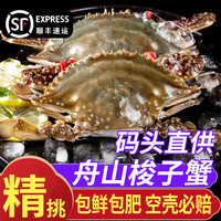 舟山梭子蟹鲜活特大野生大螃蟹新鲜冷冻海鲜水产海蟹飞蟹白蟹 净重3-5两/只【10只 码头直采】