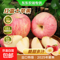 红富士 高山红富士苹果果园直发丑苹果皮薄多汁当季新果 带箱2斤