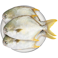 卖鱼七郎特大国产 冷冻金鲳鱼 1500g/3条装 海鱼 生鲜 鱼类 海鲜水产  