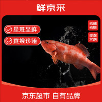 鲜京采 海南二去东星斑(净重550-650g/条)去鳃去脏