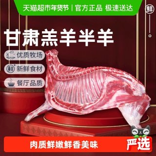 祁连天宝 甘肃羔羊半只羊散养羔羊原切10斤