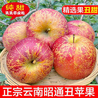 加昭通冰糖心苹果脆甜多汁 整箱1斤A+级中果
