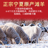 仲亨记宁夏滩羊生鲜羊肉全羊整只羊现宰新鲜盐滩羔羊烤全羊年货礼盒 【国潮礼盒】20斤乳羔羊分割