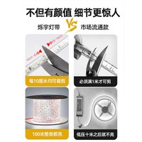 烁宇 220V自粘灯带 10cm裁剪 亮白6000K 防水灯条