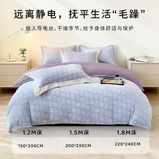 然牌 A类牛奶绒防静电 灰紫 200x230cm 被套