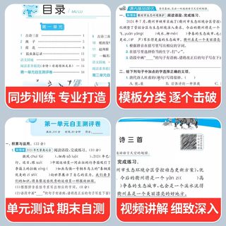 2025秋春雨实验班提优训练小学上下册语文数学英语全套人教版苏教北师版大同步练习册专项训练作业本期末试卷子