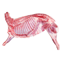 伊民康洋宁夏滩羊肉 生鲜整半只羊 原切羊排羊腿羊蝎子烧烤火锅食材礼盒清 4斤前腿+4斤后腿+2斤羊排