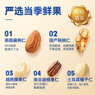 沃隆 每日坚果炒货SS混合坚果果仁果干核桃扁桃仁腰果零食大礼包 【5种纯坚果仁】500g