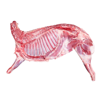  伊民康洋 现宰 宁夏滩羊肉  现宰整半只羊15斤 礼盒装