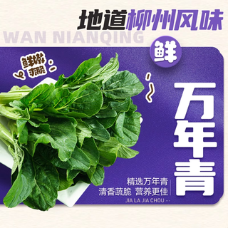 好欢螺 冲泡免煮螺蛳粉 258g*6桶