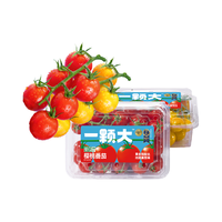 一颗大 红黄樱桃番茄小串 418g*2盒 水果西红柿圣女果 源头直发 【尝鲜·红黄配】418g*2