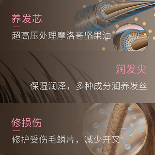  Lucido-L 摩洛哥精华油 发膜  220g