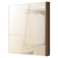 国际电工蓝牙版智能开关玻璃语音情景面板灯控app小度小爱同学 三开单控开关