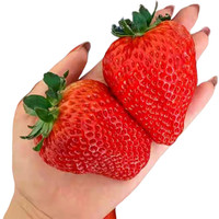 酷果汇 果王 红颜99草莓 2斤 单果25-40克+ 顺丰