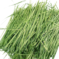 赫尔达提摩西草 南提 菊苣 兔子龙猫天竺鼠荷兰猪牧草