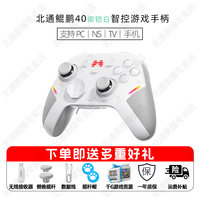 北通 KP40D 御铠白 无线游戏手柄（体感）