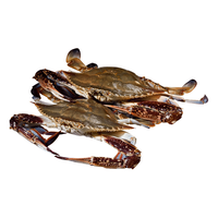 梭子蟹鲜活特大野生舟山大螃蟹海鲜新鲜冷冻海蟹水产飞蟹白蟹