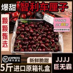 赵小宛 智利车厘子净重5斤冷链新鲜水果大樱桃原箱礼盒