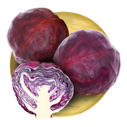 绿鲜知 紫甘蓝 1kg