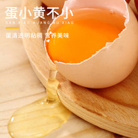 谷俱来山林跑步鸡蛋新鲜健康土鸡蛋 45g±5g 正宗月子蛋农家散养 20枚