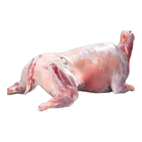 简滋 内蒙古羔羊肉 全羊整只17-18斤+礼盒 烧烤食材