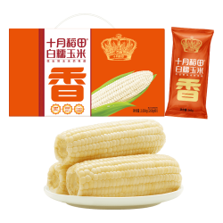 十月稻田 一口软糯拉丝！月稻田白甜糯玉米 4.16斤 260g*8根