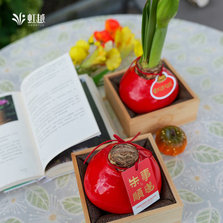 虹越 蜡封朱顶红裸球 中球礼盒装