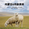  津尚鲜 新鲜 羔羊肉
