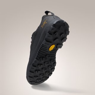  ARC'TERYX/始祖鸟 防水 女士登山鞋