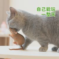毛老鼠猫玩具仿真毛绒彩色羽毛逗猫小老鼠耐抓咬猫咪自嗨玩具 调皮猫的大老鼠