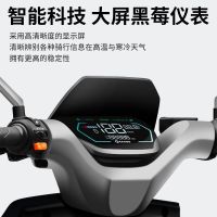百亿补贴：金箭 电动车凯耀大功率电动摩托车石墨烯电池长续航电摩电瓶车