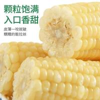 曾子山 甜糯净甜软糯玉米 独立包装2.5kg