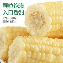 曾子山 甜糯净甜软糯玉米 独立包装2.5kg