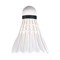 RSL 亚狮龙 经典系列 RSL6 羽毛球 6号 76速 12只装