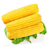 静益乐源 黄糯玉米 200g*10袋